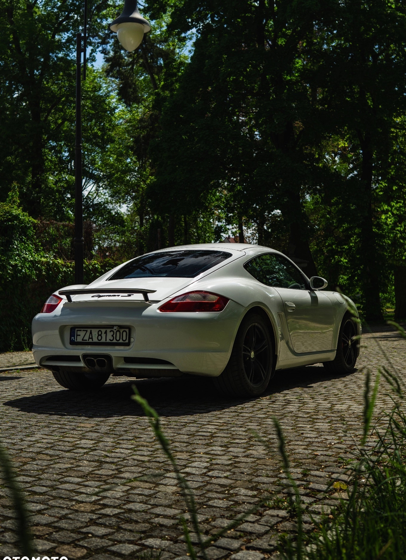 Porsche Cayman cena 139900 przebieg: 112000, rok produkcji 2008 z Żary małe 277